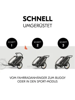 3in1 Fahrradanhänger Bike N Walk Duo für in grau
