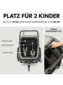 3in1 Fahrradanhänger Bike N Walk Duo für in grau