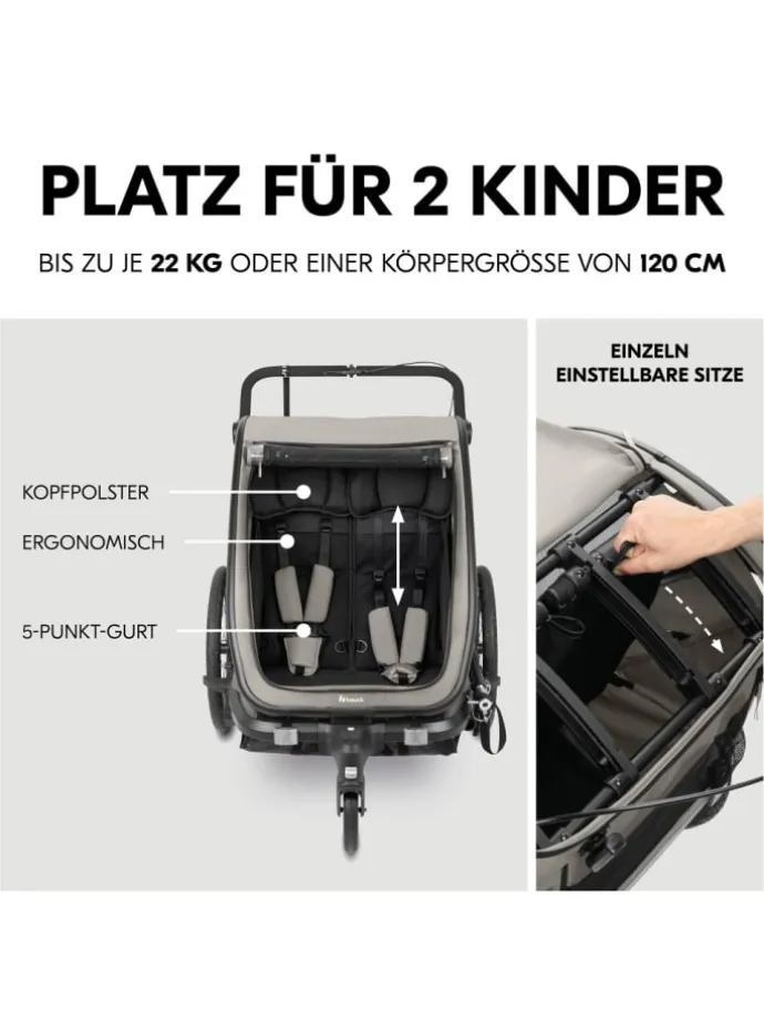 3in1 Fahrradanhänger Bike N Walk Duo für in grau