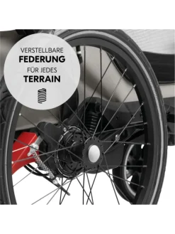 3in1 Fahrradanhänger Bike N Walk Duo für in grau
