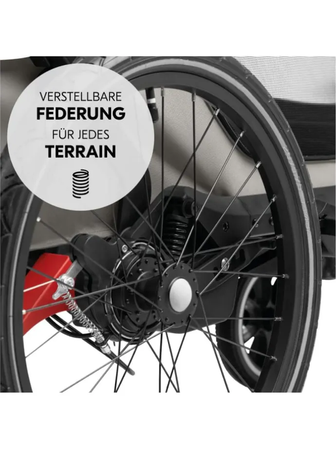 3in1 Fahrradanhänger Bike N Walk Duo für in grau