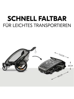3in1 Fahrradanhänger Bike N Walk Duo für in grau