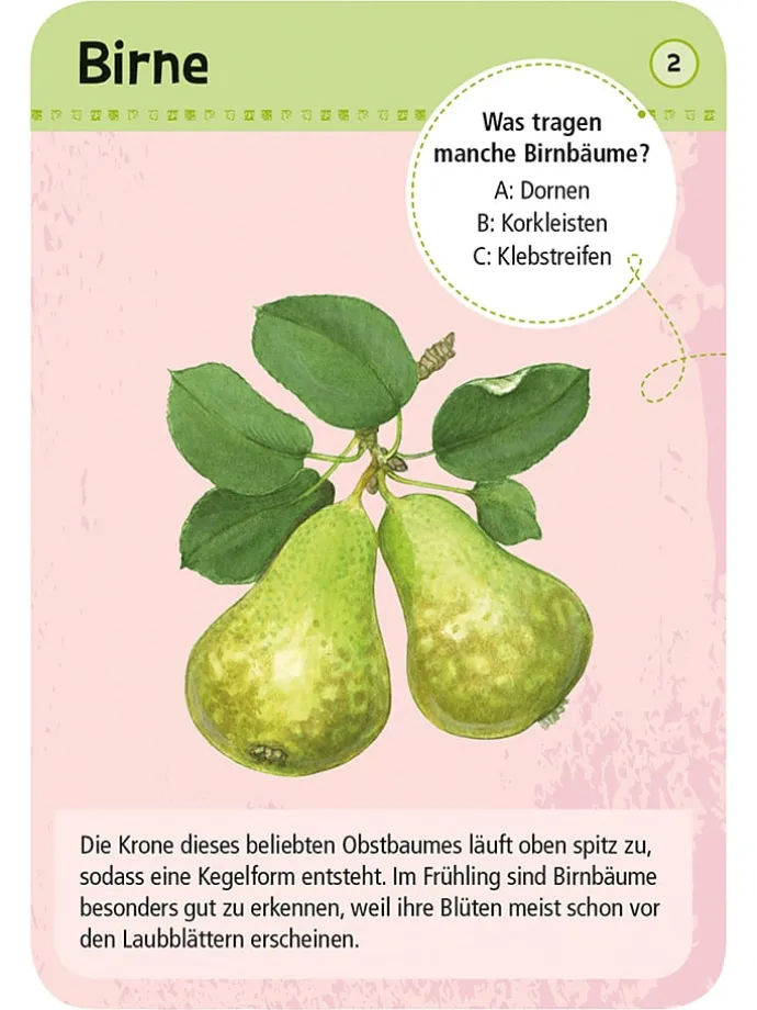 Kartenset "50 heimische Garten- & Feldpflanzen" - ab 6 Jahren