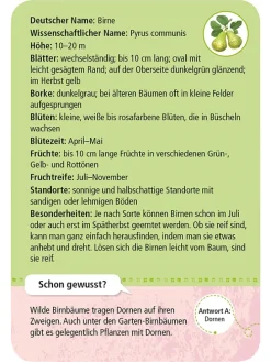 Kartenset