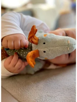 Klett-Drache in mehrfarbig