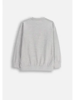 Langarmshirt in grau