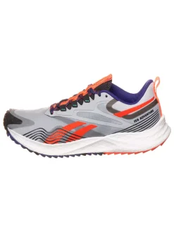 Laufschuhe "Floatride Energy 4 Adventure" in Grau