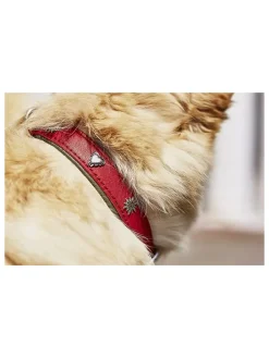 Leder-Halsband 