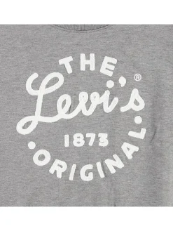 Longsleeve in Grau