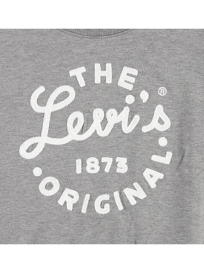 Longsleeve in Grau