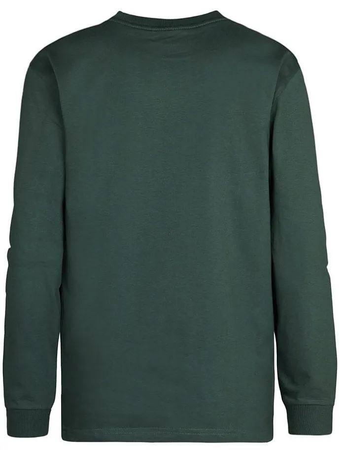 Longsleeve in Grün