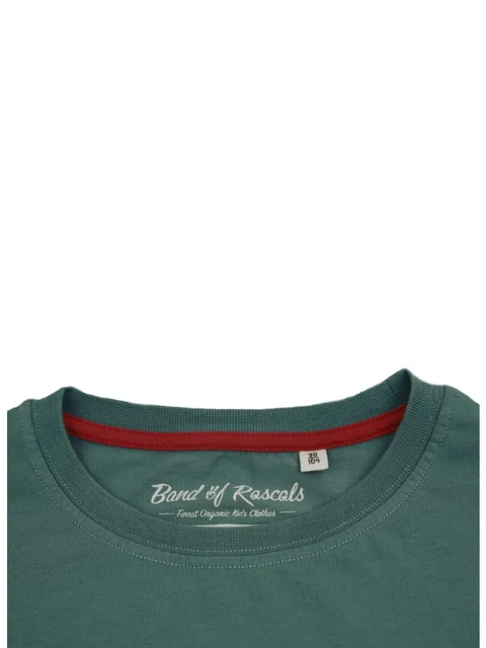Longsleeves " Sports " in cilantro-green