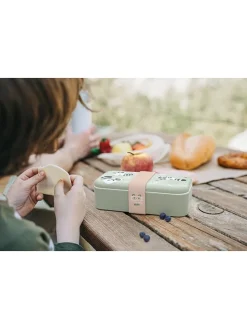 Lunchbox 