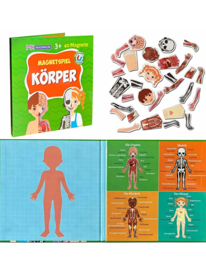 Magnetisches Lernspiel über den menschlichen Körper ab 3 Jahren, 40 Magnete