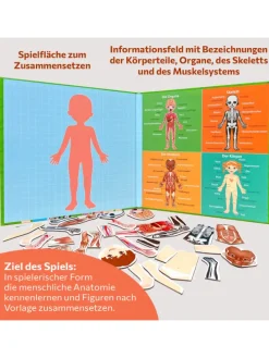 Magnetisches Lernspiel über den menschlichen Körper ab 3 Jahren, 40 Magnete