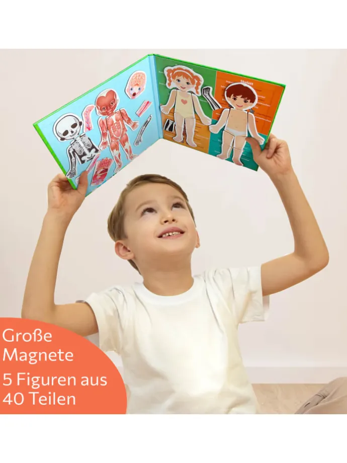 Magnetisches Lernspiel über den menschlichen Körper ab 3 Jahren, 40 Magnete