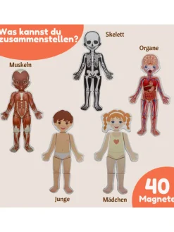 Magnetisches Lernspiel über den menschlichen Körper ab 3 Jahren, 40 Magnete