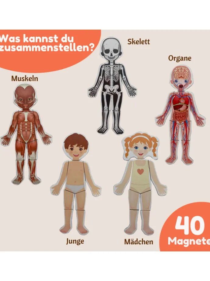 Magnetisches Lernspiel über den menschlichen Körper ab 3 Jahren, 40 Magnete