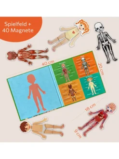 Magnetisches Lernspiel über den menschlichen Körper ab 3 Jahren, 40 Magnete