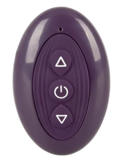 Paarvibrator RC Couple‘s Vibrator 2 in lila