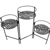Pflanzenständer in Schwarz - (B)66,5 x (H)50 x (T)21 cm
