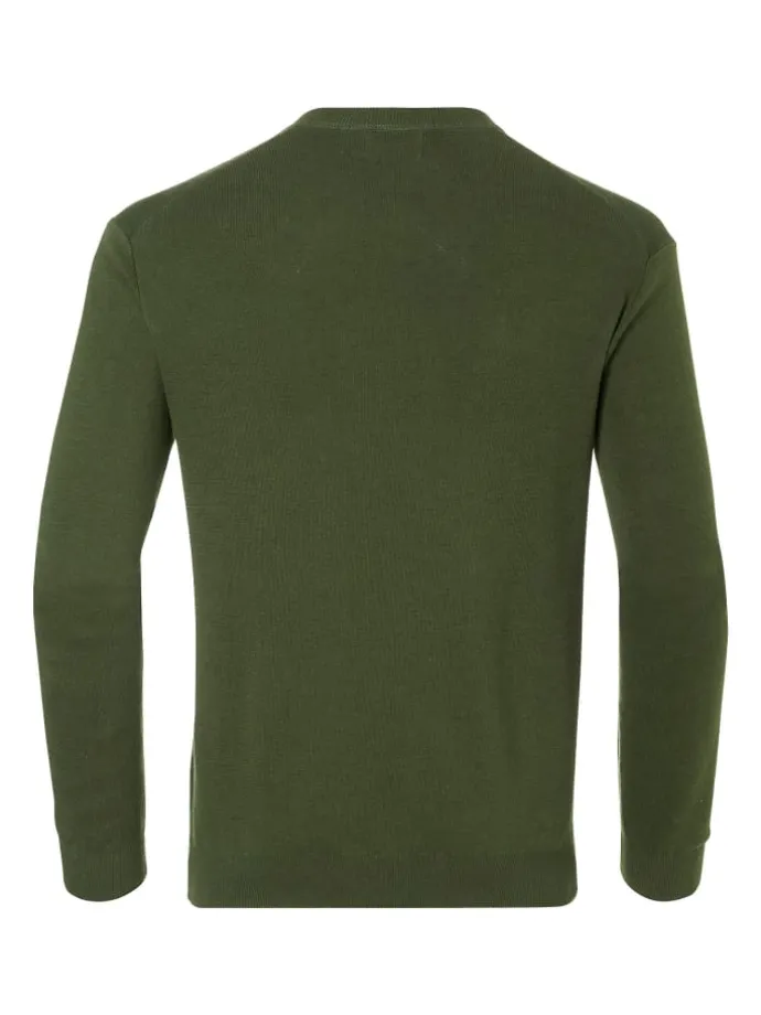Pullover Friedemann in Grün