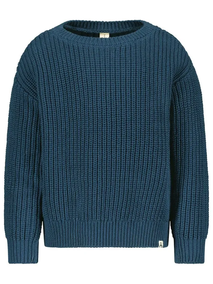 Pullover in Blau