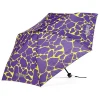 Regenschirm  in Lila