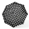Regenschirm in Schwarz/ Weiß
