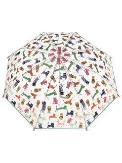 Regenschirm in Weiß/ Bunt
