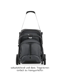 Reisebuggy & Sportwagen Travel N Care Plus