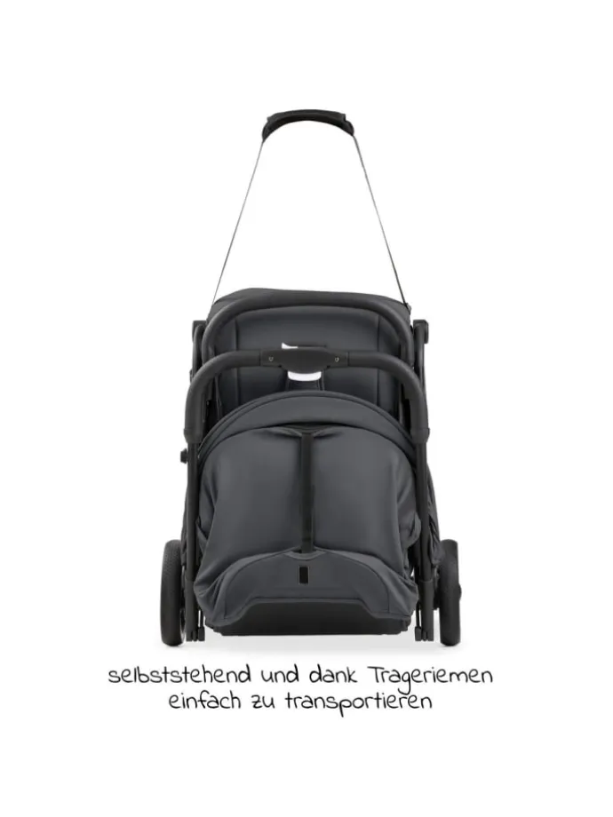 Reisebuggy & Sportwagen Travel N Care Plus
