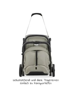 Reisebuggy & Sportwagen Travel N Care Plus