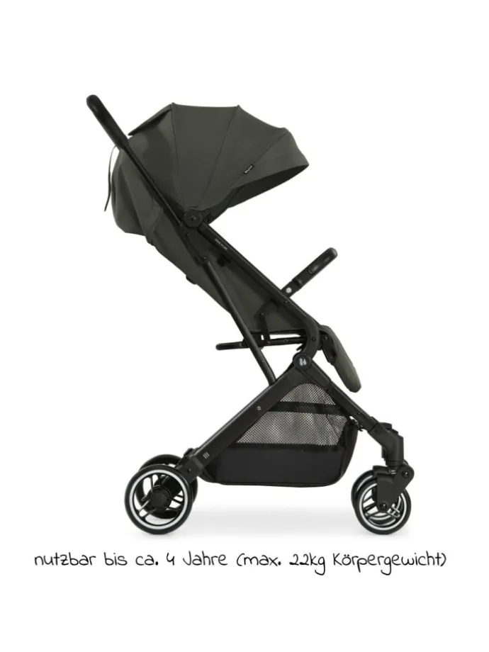 Reisebuggy & Sportwagen Travel N Care mit