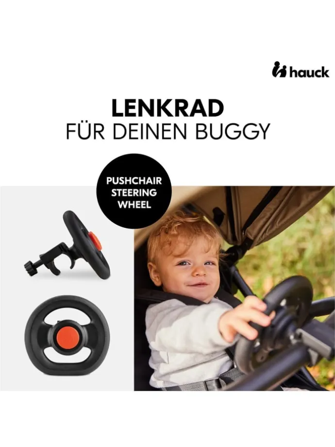 Reisebuggy & Sportwagen Travel N Care Plus in gruen,grau