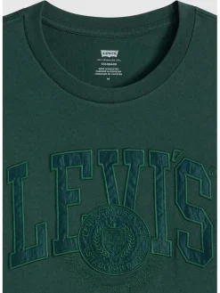 Shirt in Grün