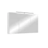 Spiegelschrank SPREE in weiß - B 100, H 60, T 20 cm