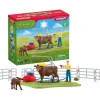 Spielset Kuh Waschstation 42529