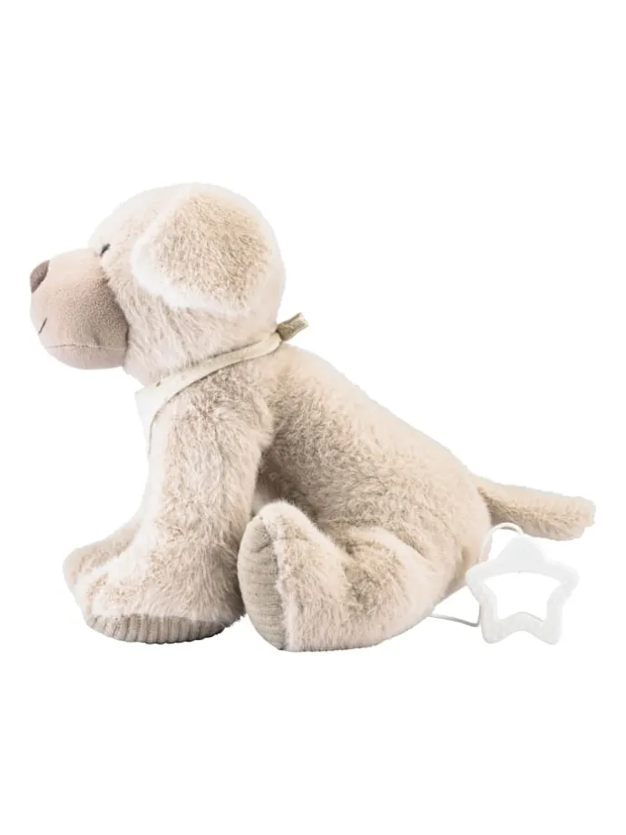 Spieluhr L HUND Lucky in natur