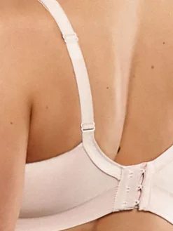 Still BH Seamless in lotus