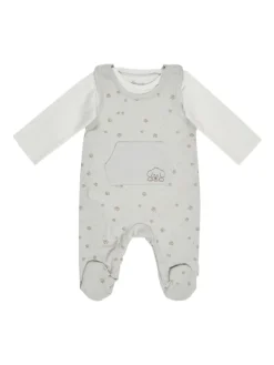 Strampler-Set Jersey Pfoten in silber