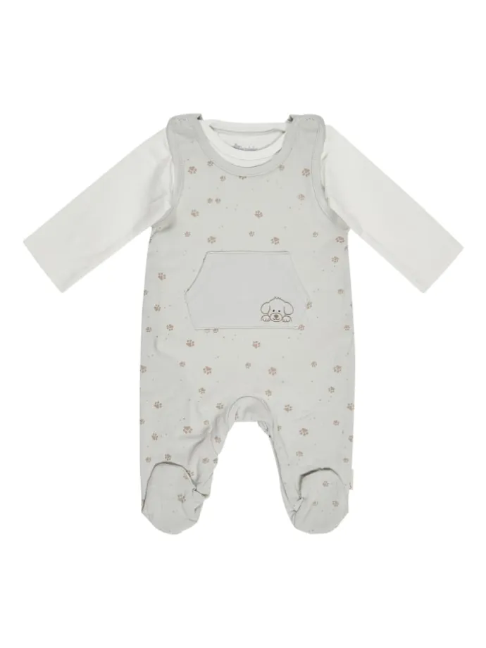 Strampler-Set Jersey Pfoten in silber