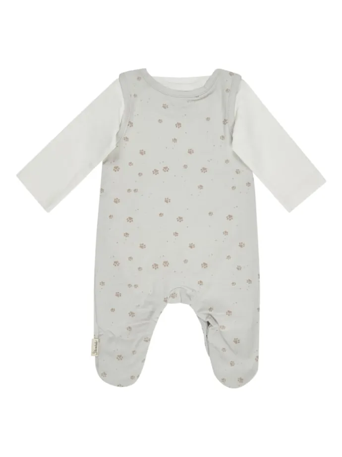 Strampler-Set Jersey Pfoten in silber
