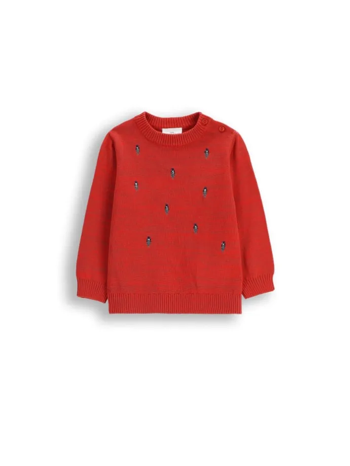 Strickpullover in rot