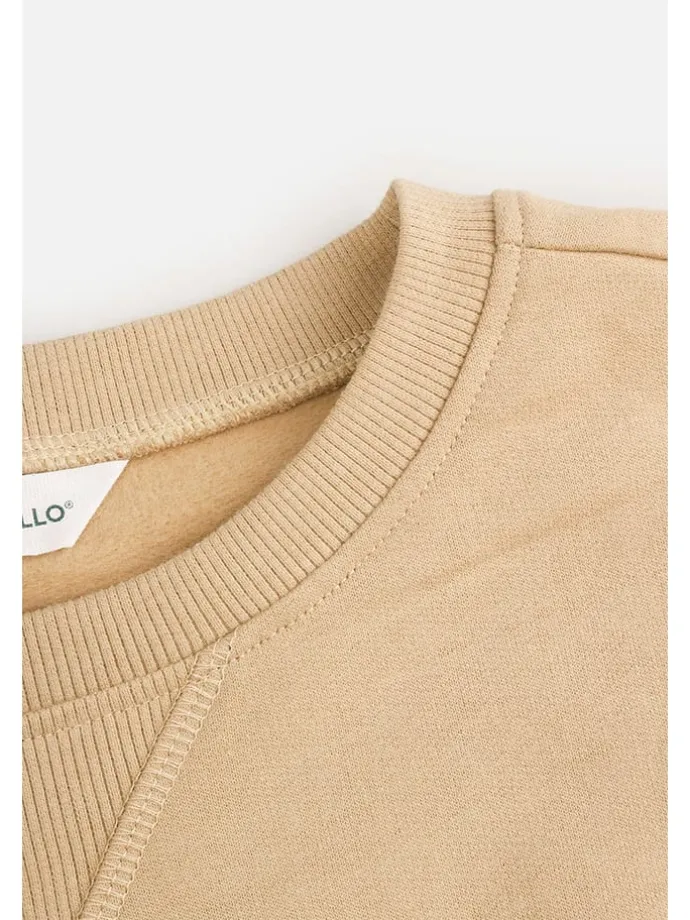 Sweatshirt in Beige