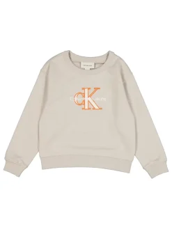 Sweatshirt in Beige