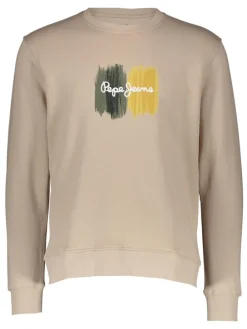 Sweatshirt in Beige