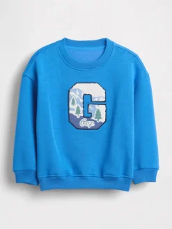 Sweatshirt in Blau