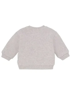Sweatshirt in Grau