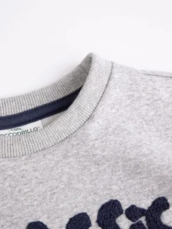 Sweatshirt in Grau
